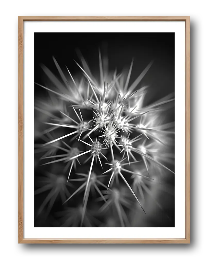 Black and white close-up photography of a cactus with sharp spines, creating a striking contrast and modern aesthetic. This cactus wall art poster adds a minimalistic yet bold touch to any space, perfect for nature and monochrome lovers