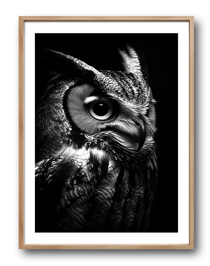 A captivating black and white portrait of an owl with striking patterns and a focused gaze, highlighting its intricate feathers