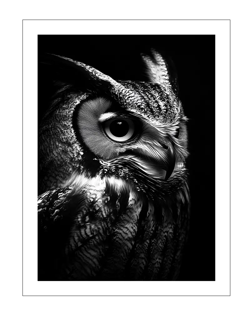 A captivating black and white portrait of an owl with striking patterns and a focused gaze, highlighting its intricate feathers