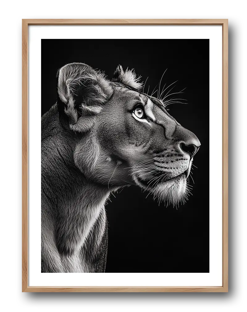 A captivating black and white side profile of a lioness, showcasing her graceful features and focused gaze.