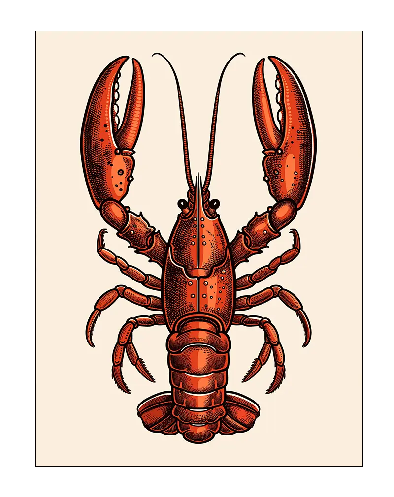 A detailed illustration of a lobster in vintage style with vibrant red tones. Perfect wall art for a coastal-themed kitchen or dining area, bringing a bold and unique design element to the space