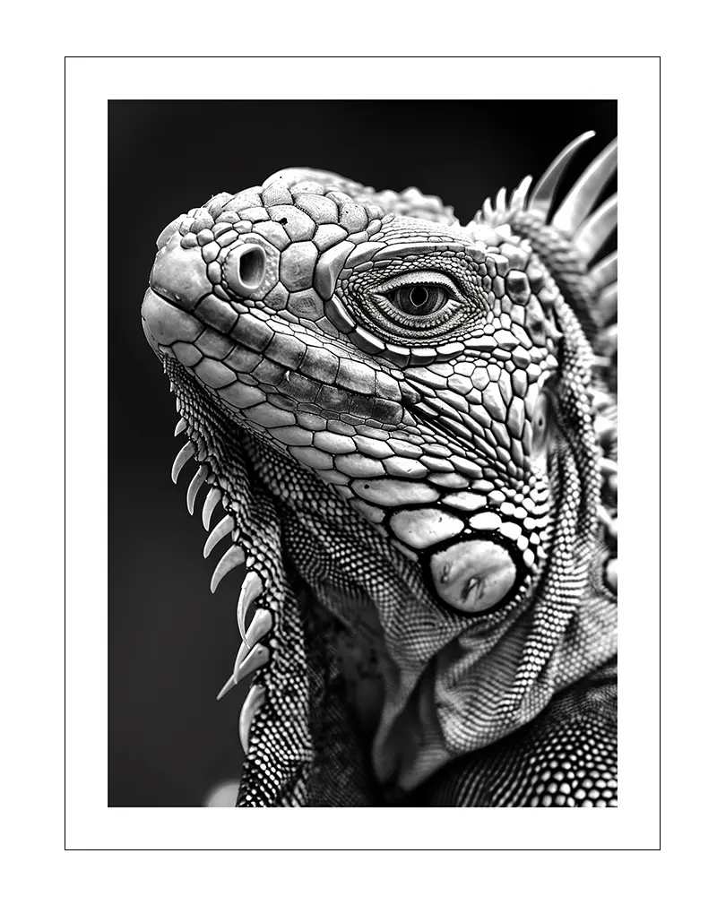 A striking black and white illustration of an iguana with intricate textures and details. Perfect wall art for nature lovers and those seeking unique animal prints. Adds a bold, artistic touch to any space