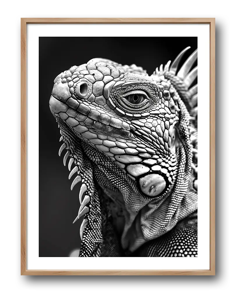 A striking black and white illustration of an iguana with intricate textures and details. Perfect wall art for nature lovers and those seeking unique animal prints. Adds a bold, artistic touch to any space