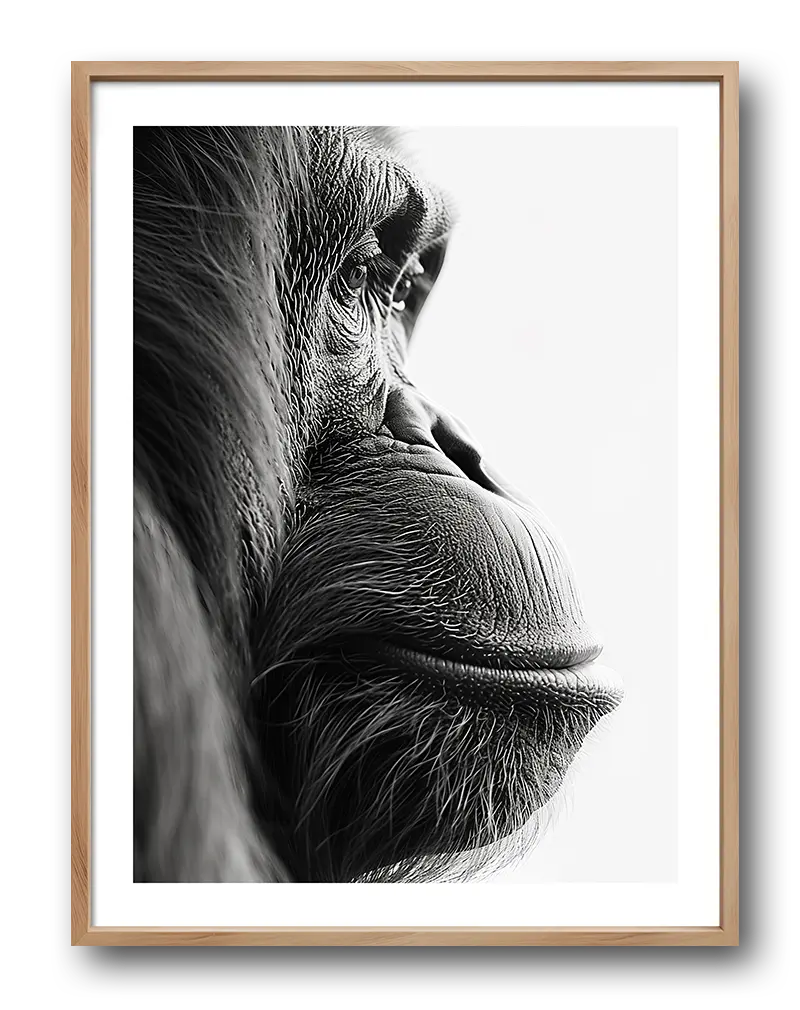 A detailed black and white illustration of an orangutan in a contemplative pose. Perfect wall art for animal lovers, bringing a sense of wisdom and serenity into any space