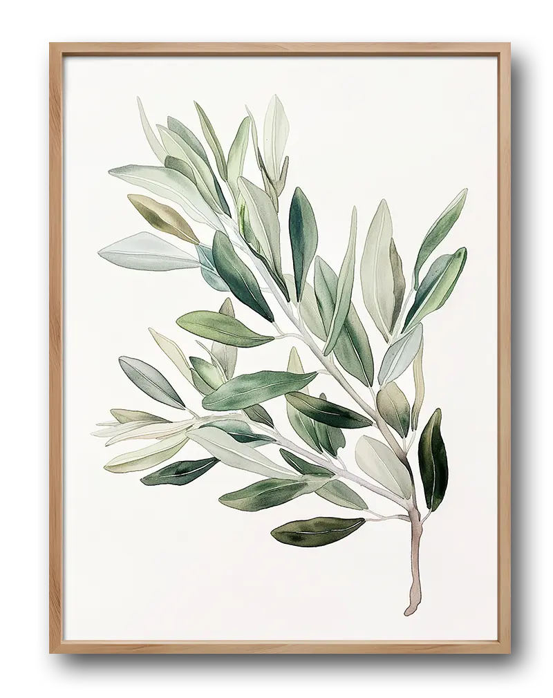 A delicate watercolor illustration of an olive branch with soft green leaves. Perfect wall art for bringing a touch of nature and tranquility into your living space, ideal for minimalist and botanical-themed decor