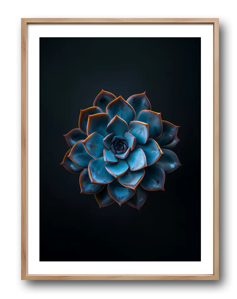 A stunning close-up illustration of a blue succulent flower against a dark background, highlighting its unique texture and glow. Perfect wall art for bringing nature's elegance into your home or office