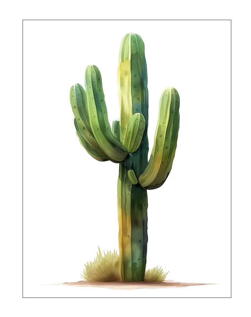 A beautiful watercolor illustration of a tall green cactus, with soft shadows and warm desert tones. This nature-inspired artwork brings a touch of the desert to any space. Perfect wall art for a natural and relaxed ambiance