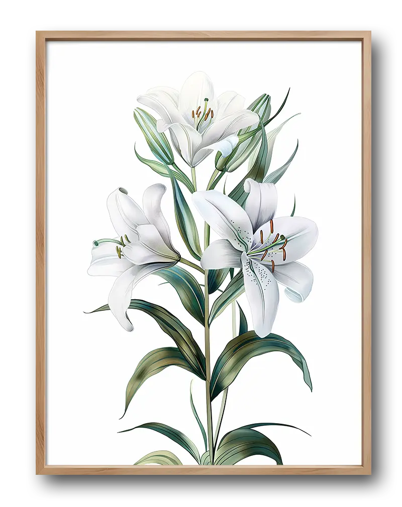 A botanical illustration of elegant white lilies with intricate green leaves. This delicate wall art poster is perfect for adding a touch of nature and serenity to any room, offering both beauty and tranquility to your space